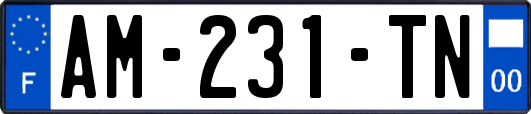 AM-231-TN