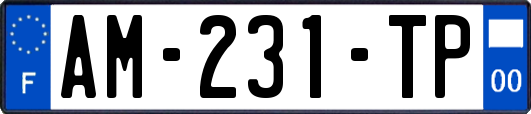 AM-231-TP