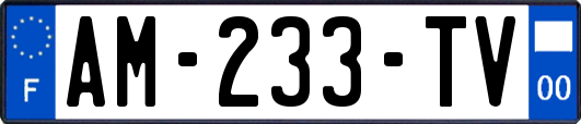 AM-233-TV