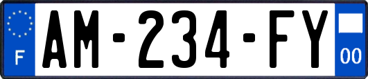 AM-234-FY