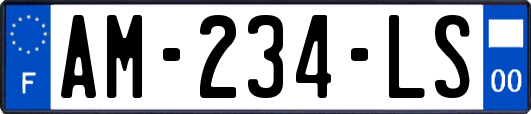 AM-234-LS