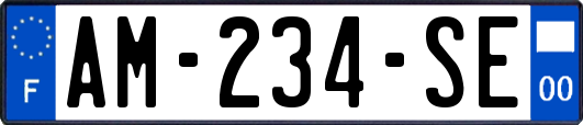 AM-234-SE