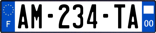 AM-234-TA