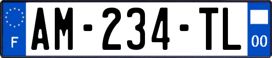 AM-234-TL