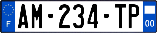 AM-234-TP