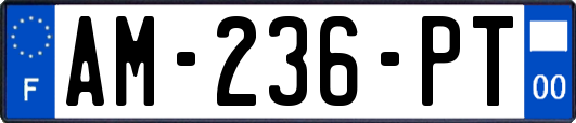AM-236-PT
