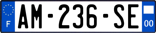 AM-236-SE