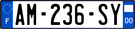 AM-236-SY