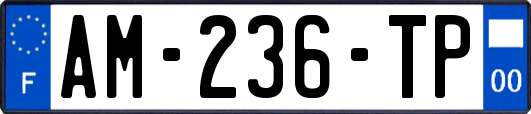 AM-236-TP