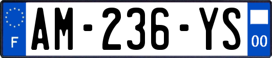 AM-236-YS