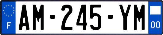 AM-245-YM