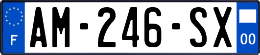 AM-246-SX