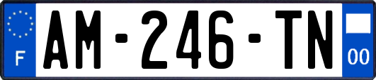 AM-246-TN