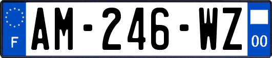 AM-246-WZ
