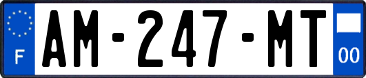 AM-247-MT