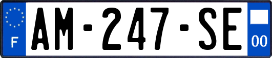AM-247-SE