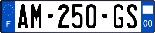 AM-250-GS