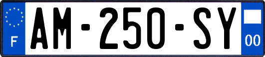 AM-250-SY