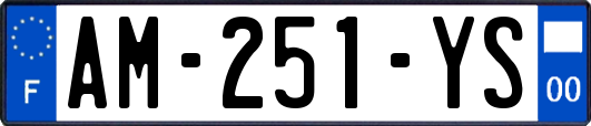 AM-251-YS
