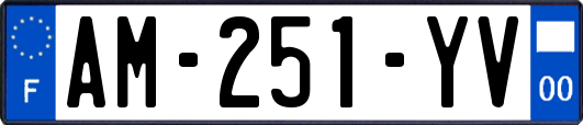 AM-251-YV