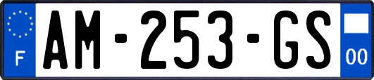 AM-253-GS