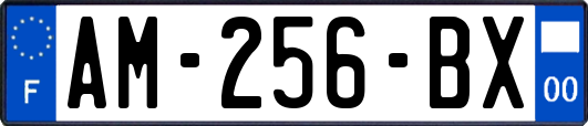 AM-256-BX