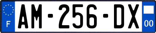 AM-256-DX
