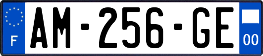 AM-256-GE