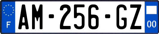 AM-256-GZ