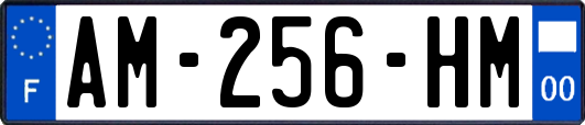 AM-256-HM