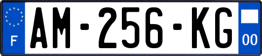 AM-256-KG