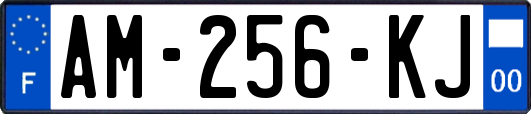 AM-256-KJ