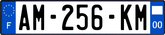AM-256-KM
