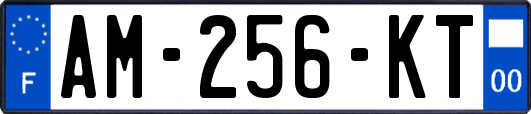 AM-256-KT