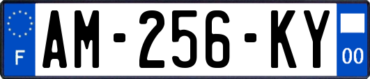AM-256-KY