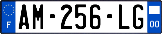 AM-256-LG