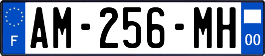 AM-256-MH