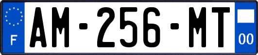 AM-256-MT