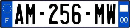 AM-256-MW