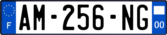AM-256-NG