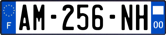 AM-256-NH