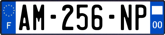 AM-256-NP