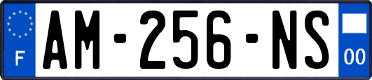 AM-256-NS