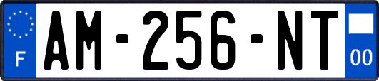 AM-256-NT