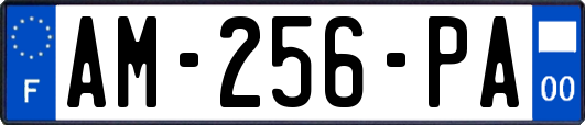 AM-256-PA