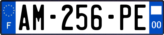 AM-256-PE