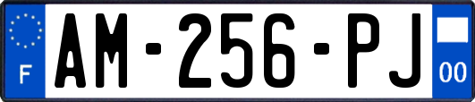 AM-256-PJ