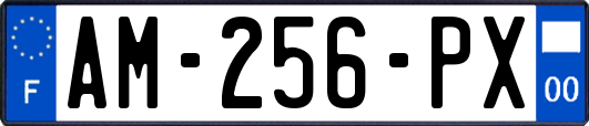 AM-256-PX