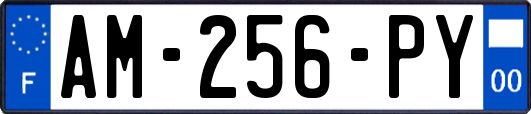AM-256-PY
