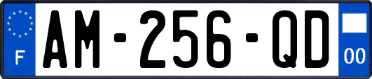 AM-256-QD